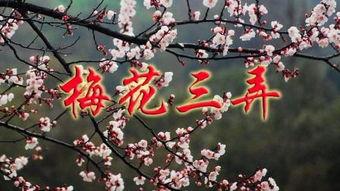 梅花三弄全集在线观看,穿越时空的古典传奇，在线观看尽享经典